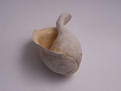 Porcelain Shell